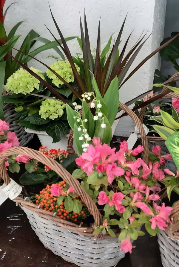 Panier de plantes fleuries et de muguet