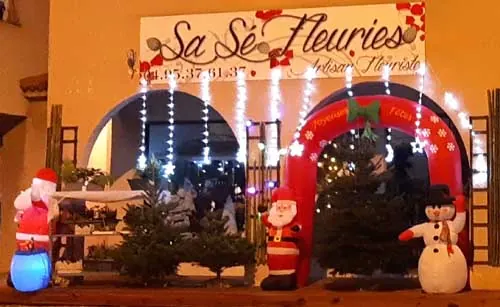La façade de la boutique illuminée pour Noël, avec des sapins et des personnages de Noël